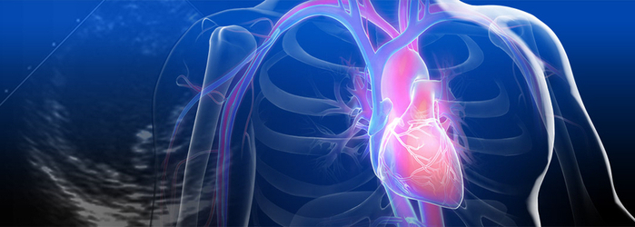 Conoce las 8 principales enfermedades cardiovasculares