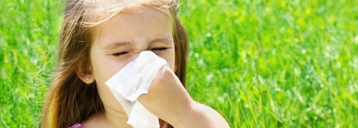 Síntomas comunes y tratamiento de las alergias