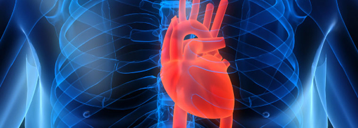Estudio de resonancia magnética: el corazón