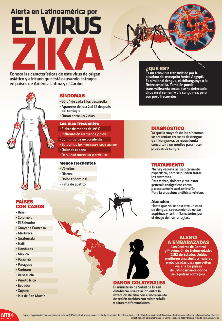 Infografía: qué es y cuáles son los síntomas del Virus de Zika